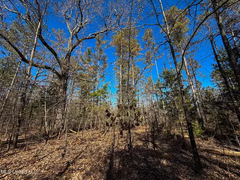 Dr Sears Road, West Point, MS 39773 photo 13