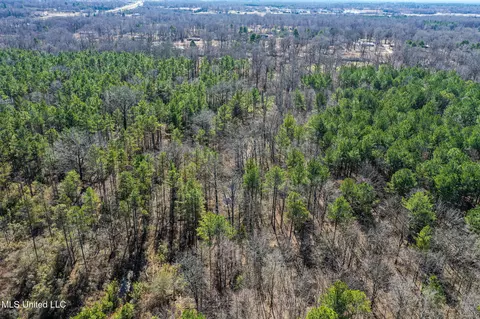 Dr Sears Road, West Point, MS 39773 photo 7
