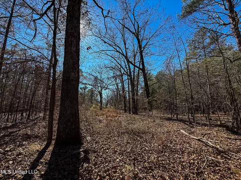Dr Sears Road, West Point, MS 39773 photo 24