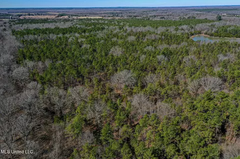 Dr Sears Road, West Point, MS 39773 photo 19