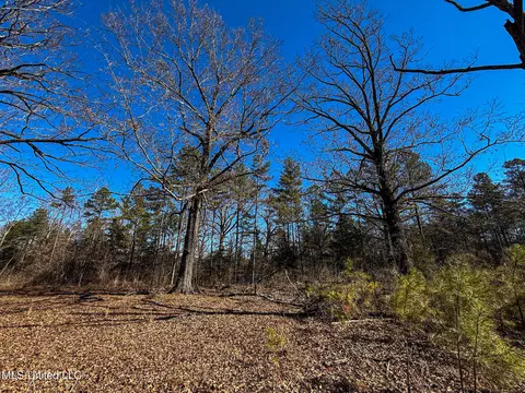 Dr Sears Road, West Point, MS 39773 photo 3