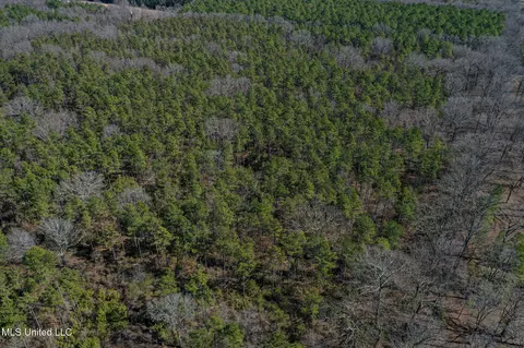 Dr Sears Road, West Point, MS 39773 photo 25