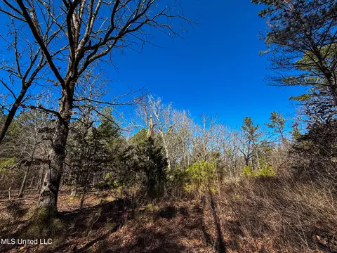 Dr Sears Road, West Point, MS 39773 photo 20