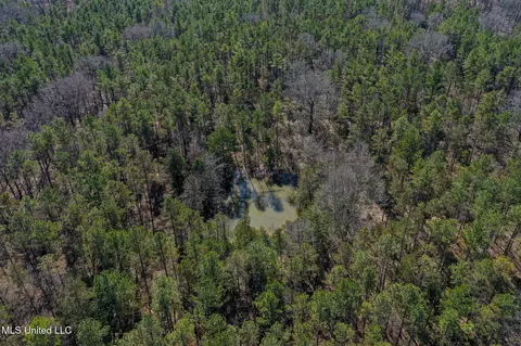 Dr Sears Road, West Point, MS 39773 photo 17