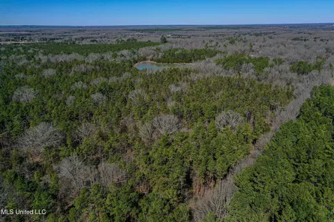 Dr Sears Road, West Point, MS 39773 photo 21