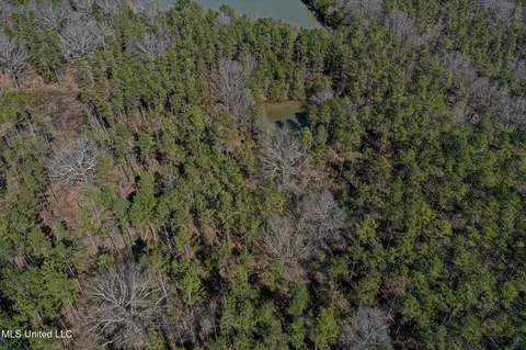 Dr Sears Road, West Point, MS 39773 photo 27