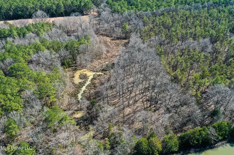 Dr Sears Road, West Point, MS 39773 photo 11