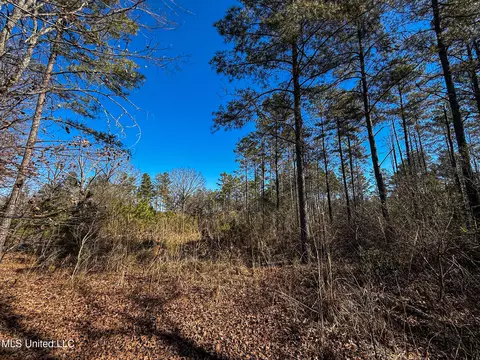 Dr Sears Road, West Point, MS 39773 photo 26