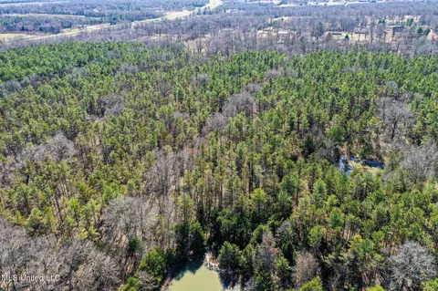 Dr Sears Road, West Point, MS 39773 photo 15
