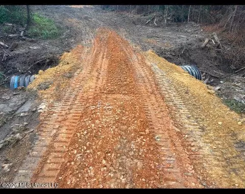Delancey Road, Braxton, MS 39044 photo 6