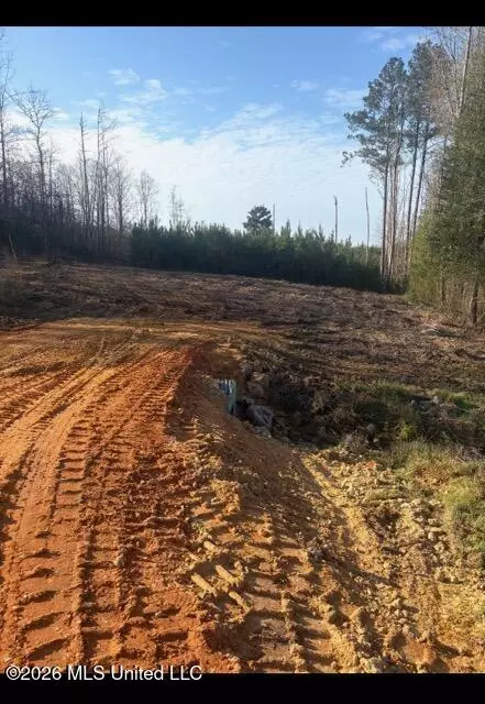 Delancey Road, Braxton, MS 39044 photo 7
