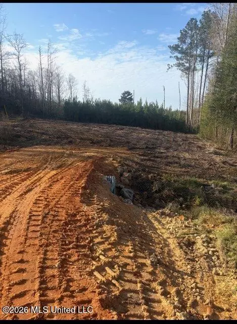 Delancey Road, Braxton, MS 39044 photo 9