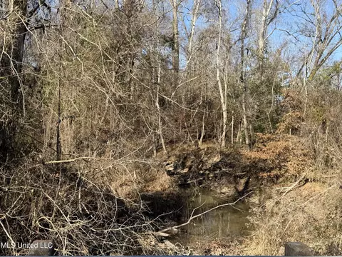 Delancey Road, Braxton, MS 39044 photo 4