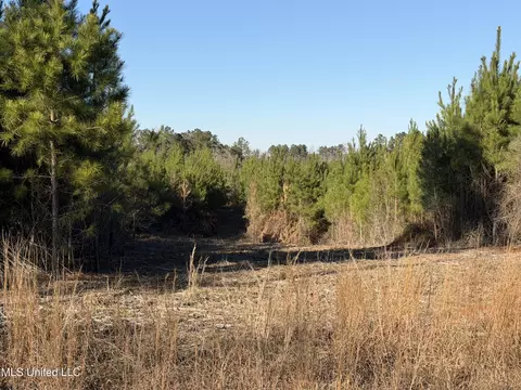 Delancey Road, Braxton, MS 39044 photo 3