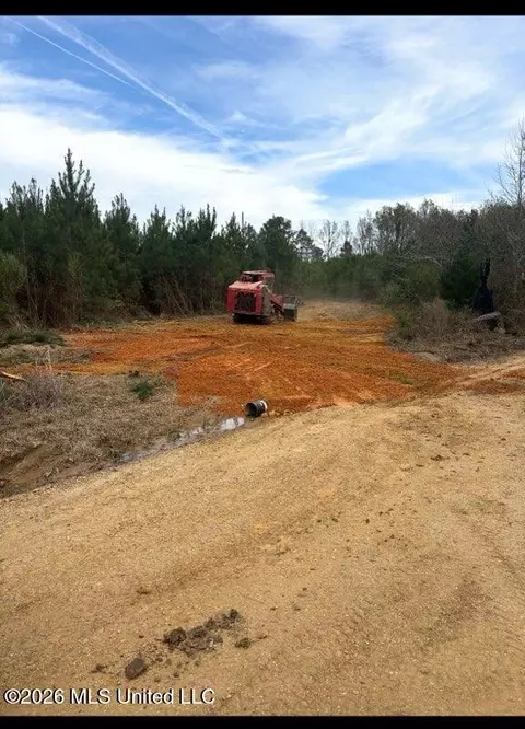 Delancey Road, Braxton, MS 39044 photo 8