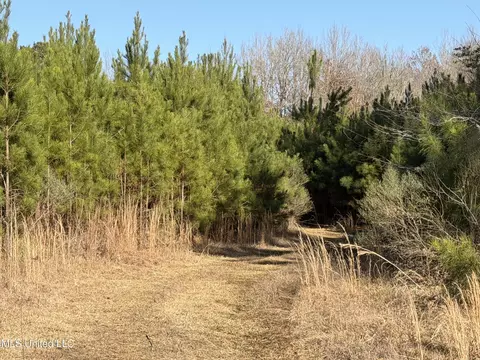 Delancey Road, Braxton, MS 39044 photo 2