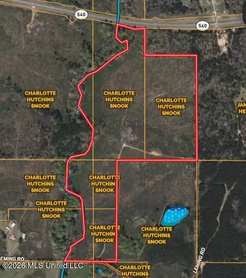 Delancey Road, Braxton, MS 39044 photo 5