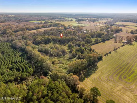 000 E Bond Rd, Wiggins, MS 39577 photo 4