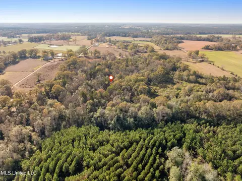 000 E Bond Rd, Wiggins, MS 39577 photo 6