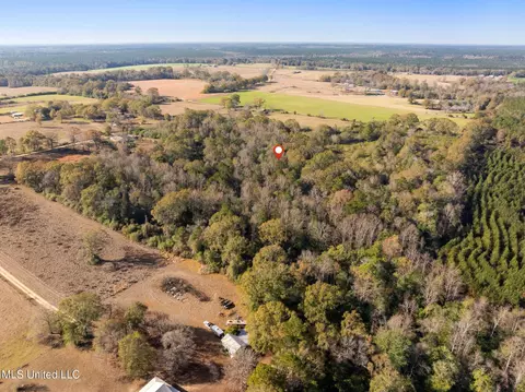 000 E Bond Rd, Wiggins, MS 39577 photo 8
