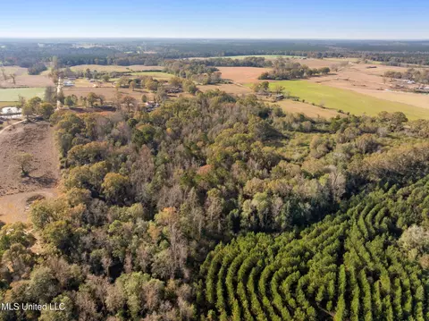 000 E Bond Rd, Wiggins, MS 39577 photo 7