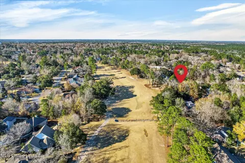 View/Area - 7928 Hapuna Pl, Diamondhead, MS 39525 photo 3 of 3