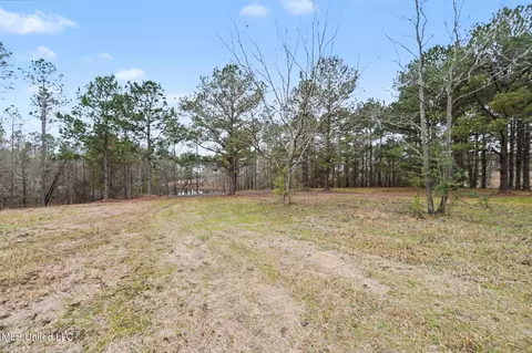 20 Ac Summerour Rd, Lucedale, MS 39452