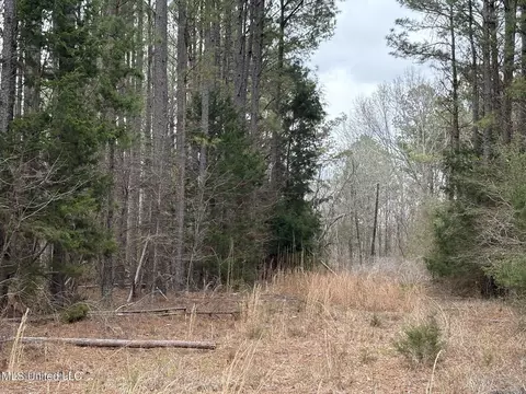 County Road 2211, Kosciusko, MS 39090