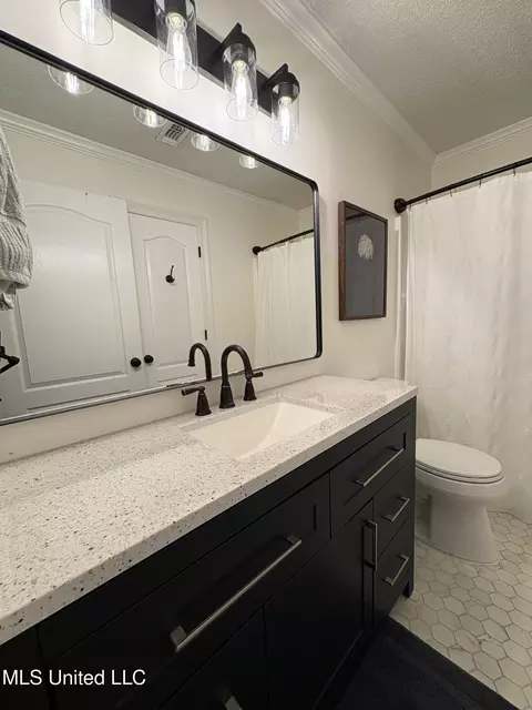 Bath - 412 Chenoa Ave, Carthage, MS 39051 photo 5 of 6
