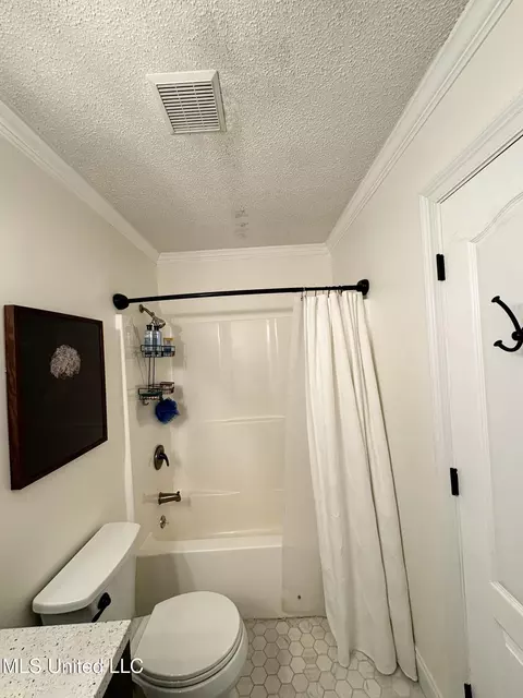 Bath - 412 Chenoa Ave, Carthage, MS 39051 photo 6 of 6