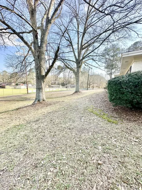 Exterior - 1002 Mark Dr, Mendenhall, MS 39114 photo 6 of 7