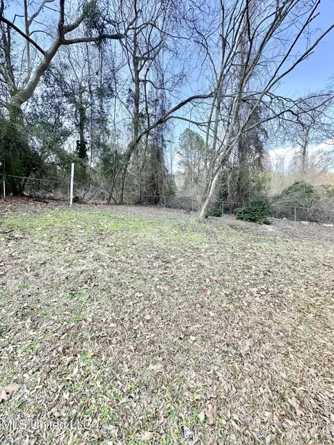 Exterior - 1002 Mark Dr, Mendenhall, MS 39114 photo 7 of 7