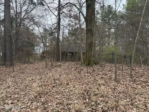 62 E Green T Lake Rd, Hernando, MS 38632 photo 5