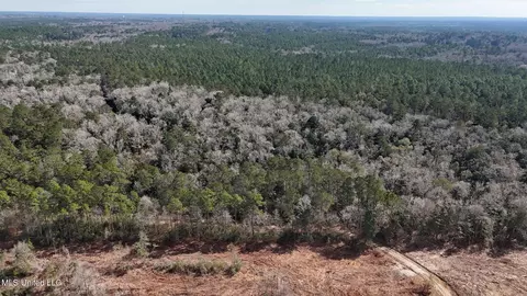 Pete Hickman Road, Saucier, MS 39574 photo 23