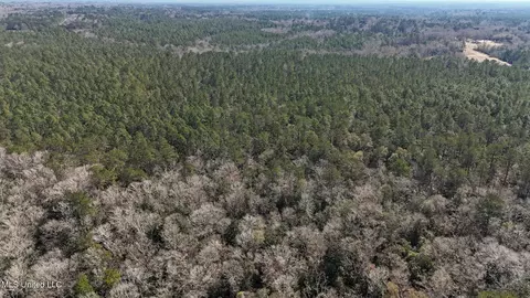 Pete Hickman Road, Saucier, MS 39574 photo 25
