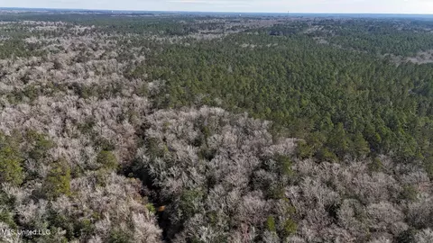 Pete Hickman Road, Saucier, MS 39574 photo 26