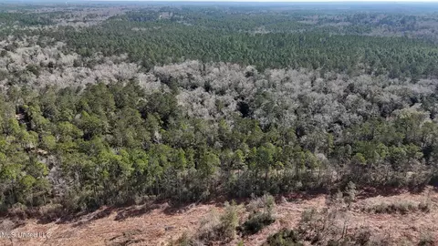 Pete Hickman Road, Saucier, MS 39574 photo 22