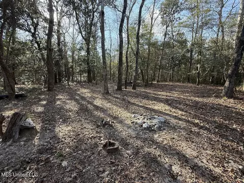 Pete Hickman Road, Saucier, MS 39574 photo 8