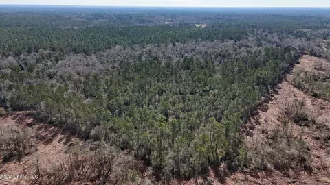 Pete Hickman Road, Saucier, MS 39574 photo 3