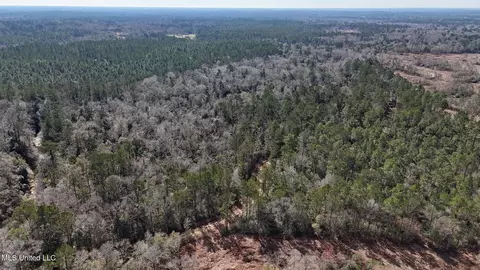 Pete Hickman Road, Saucier, MS 39574 photo 4