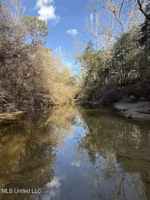 Pete Hickman Road, Saucier, MS 39574 photo 17