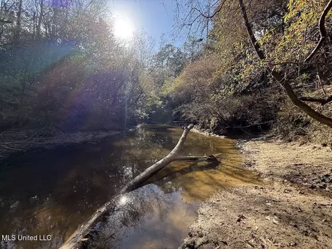Pete Hickman Road, Saucier, MS 39574 photo 13