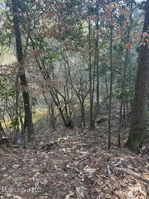 Pete Hickman Road, Saucier, MS 39574 photo 9