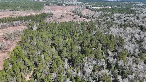 Pete Hickman Road, Saucier, MS 39574 photo 5