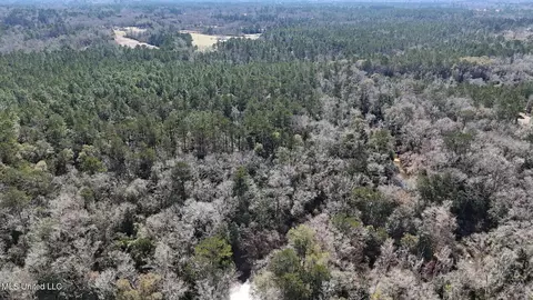 Pete Hickman Road, Saucier, MS 39574 photo 24