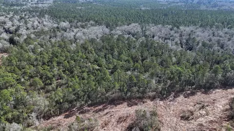 Pete Hickman Road, Saucier, MS 39574 photo 21