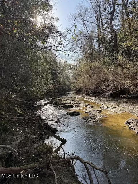 Pete Hickman Road, Saucier, MS 39574 photo 19