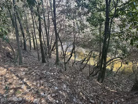 Pete Hickman Road, Saucier, MS 39574 photo 10