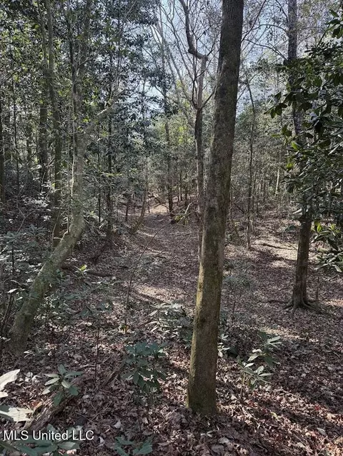 Pete Hickman Road, Saucier, MS 39574 photo 14