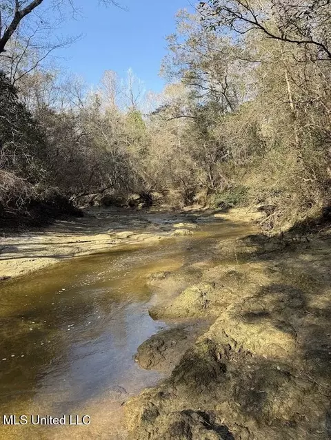 Pete Hickman Road, Saucier, MS 39574 photo 18